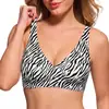 Sutiã de gelo com estampa de leopardo personalizado para comércio exterior TK Amazon mais vendido para mulheres, lingerie plus size, fábrica de lingerie de origem transfronteiriça