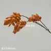 Flores Artificiales, Flores Secas Estilo Wabi-Sabi, Hojas Secas, Frutos de Pipa, Hortensias de Borde Tostado, Materiales Florales Vintage, Frutos de Espino Marítimo, Decoraciones de Mesa, Flores de Seda