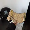 Bolsa Quadrada Pequena de Luxo Leve Transfronteiriça, Bolsa Transversal de Alto Padrão e Exquisite, Bolsa de Ombro Portátil, Bolsa Feminina de Design Nicho de Verão em Forma de Lua Crescente