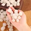 Sal Gruesa al por Mayor para Uso Doméstico, Desmagnetización, Inauguración de Casa, Mudanza, Purificación de Bodas, Sal Gruesa de Grano Grande 500g Fabricante al por Mayor
