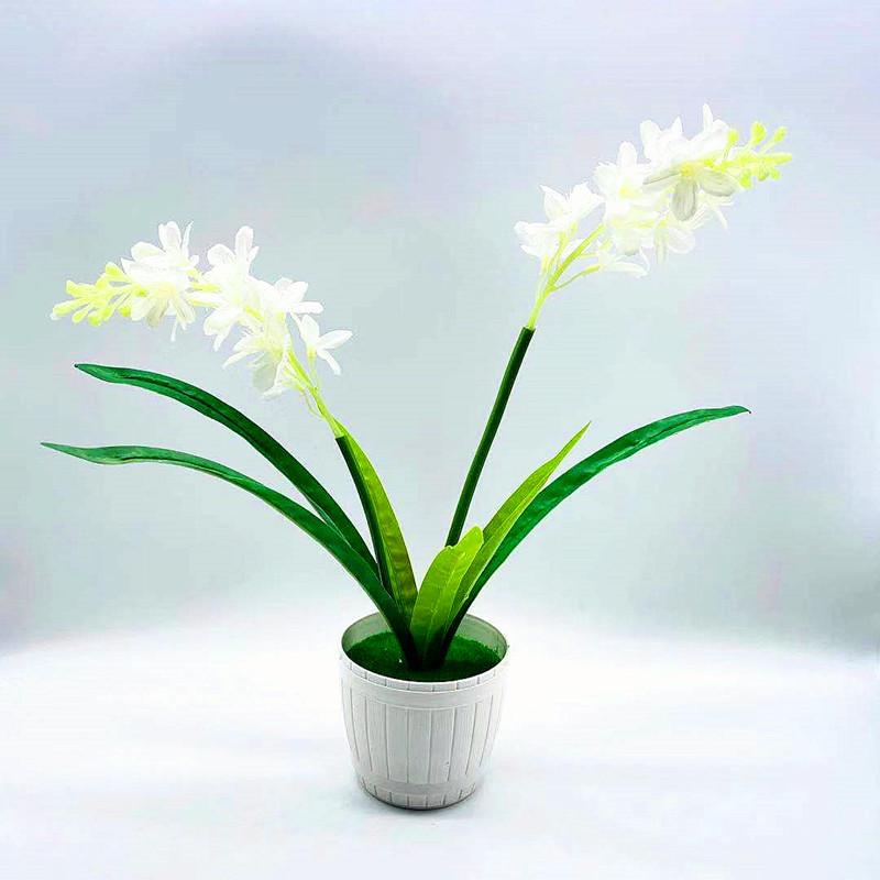 微信图片_20211008194248_副本