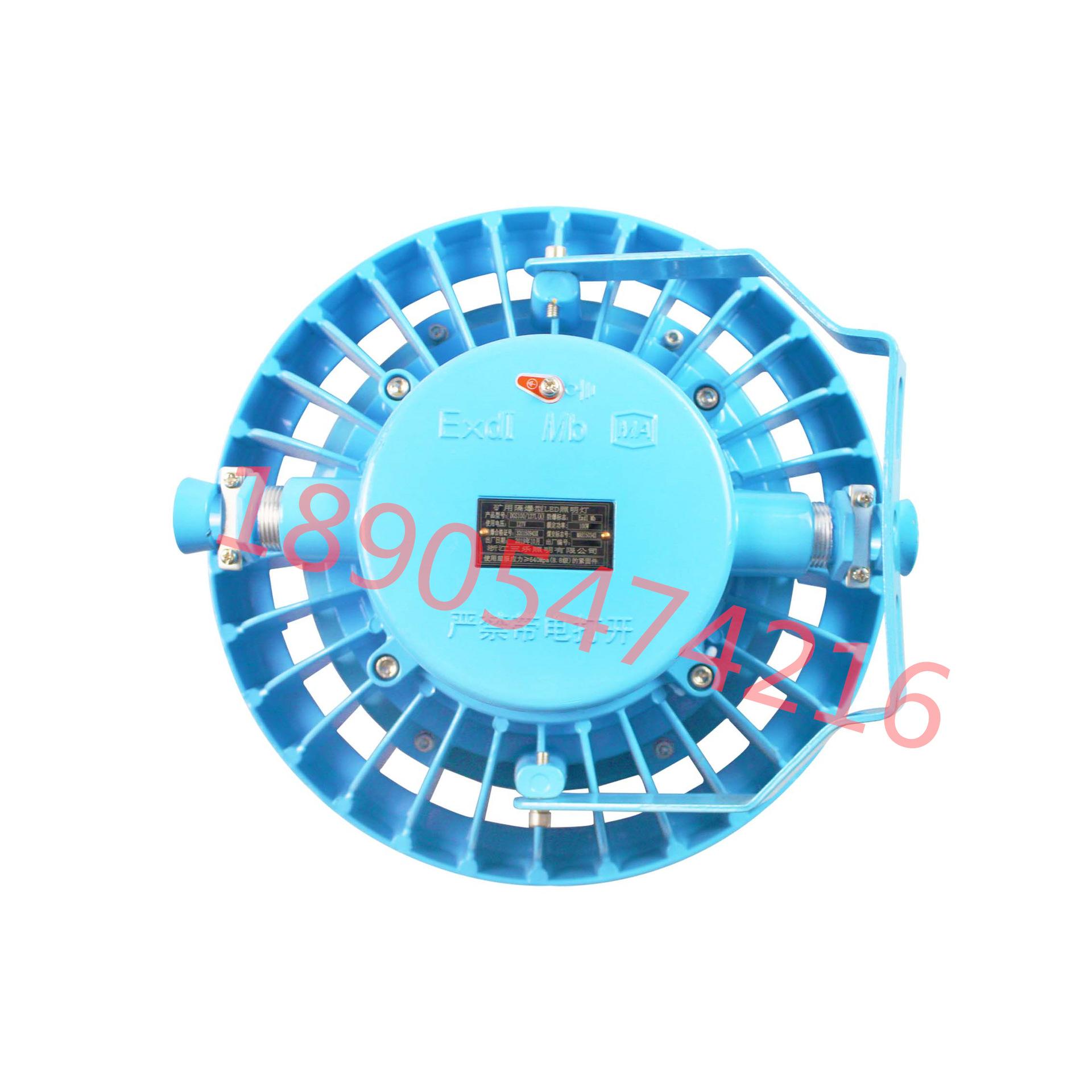 DGS100-127L(A)矿用隔爆型LED照明灯 (3)