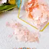 Broche de Perla Pasador Adornos Antiguos Pintura a la Laca Esmalte Cloisonné Material Concha de Abulón Fragmento Delgado Decoración para Uñas