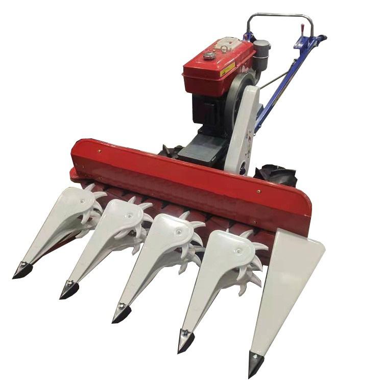 前置稻麦割晒机 (4)