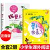 Arrancando Zanahorias 1 Primer Grado Volumen 1 Versión Fonética Pinyin Ruso Tolstói Libro de Imágenes Libro de Cuentos Escuela Primaria