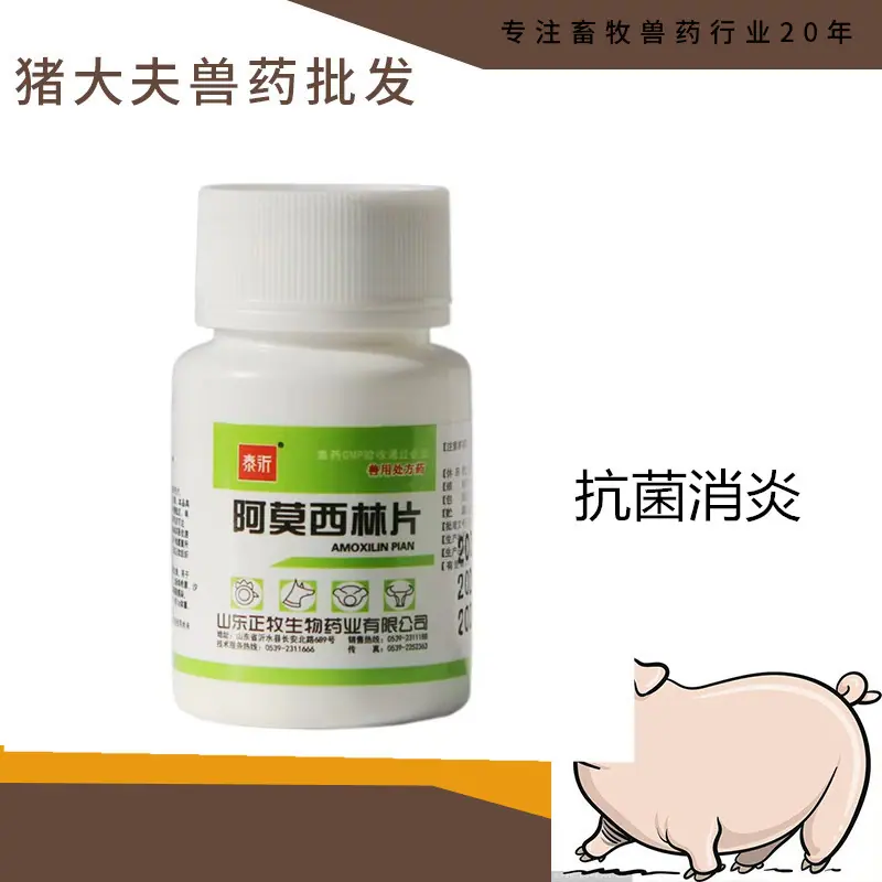 阿莫西林片2_副本