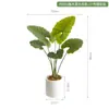 Plantas Artificiais Estilo Nórdico em Estoque para Atacado, Planta Artificial de Taro Torto, Plantas Verdes Falsas para Paisagismo, Plantas em Vasos para Decoração de Piso Interno para Sala de Estar
