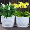 Maceta de Cerámica Tamaño Grande Oferta Especial Liquidación Interior Escritorio Balcón Suculenta Maceta Pequeña Clorofito Helecho Espárrago Maceta Simple Blanca