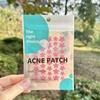 Color de cabello lacio de fábrica hidrocoloide estrella de cinco puntas brillo pasta para el acné corrector a prueba de agua pasta para el acné con pus en stock al por mayor