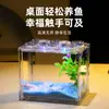 Contenedor de Bloque de Construcción Acrílico en Forma de Caja para Acuario, Pequeño Paisaje Micro de Alta Transparencia para Escritorio de Oficina o Sala de Estar, Decoración Creativa, Apilable