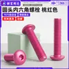 Parafuso de máquina de cabeça redonda com soquete hexagonal em liga de alumínio 7075, parafuso de cabeça chata com soquete hexagonal anodizado rosa m3m4m6