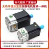 Servomotor DC de Bajo Voltaje 24V48V con Controlador Integrado 50W100W200W400W750W con Comunicación 485