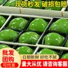 Tamales Verdes de Arroz con Película Transparente, Tamales de Arroz Glutinoso Fruta Qingming, Snacks Especiales Chinos Listos para Comer, Paquete de Regalo, Tamales Verdes de Arroz con Yema de Huevo y Carne Deshebrada al por Mayor