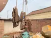 Base de Abacaxi de Ar, Suporte de Abacaxi de Ar, Suporte para Plantas, Gancho para Paisagismo, Madeira Flutuante Pequena Sem Solo, Madeira de Camarão