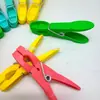 Mini Pregadores de Roupa Coloridos Personalizados Leves Duráveis Pregadores de Roupa Pregadores de Plástico Prendedores de Roupa