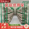 Prateleiras de Grade com Revestimento Plástico para Cogumelos para Estufas, Prateleiras Tridimensionais Multicamadas para Cultivo e Criação de Cogumelos