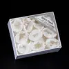 Cristal Natural Pedra Bruta Mineral Caixa de Presente Padrão Pedra de Energia Atacado Transfronteiriço Pedra Difusora Pedra de Aromaterapia Espécime Mineral para Ensino