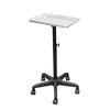 Suministro Transfronterizo de Carro Móvil Elevable para Salón de Peluquería, Manicura, Almacenamiento Quirúrgico para Tatuajes, Estante de Almacenamiento para Belleza y Peluquería, Portátil