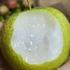 Pera de Piel Verde Dangshan, Su Cui No. 1 Pera Corona, Pera Fresca Crujiente de Temporada, Caja Completa de Fruta Fresca Crujiente, Dulce y Jugosa