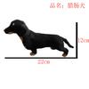 Cachorro Dachshund de Simulação Modelo Animal Decoração de Casa de Simulação Criação Decoração de Mesa Decoração Criativa de Cachorro de Pelúcia Brinquedo