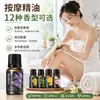 Aceite Esencial de Masaje Rosa Lavanda Menta 10ml Aceite Esencial Vegetal Coreano Exportación Transfronteriza Completamente en Inglés