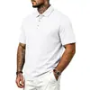 Camisa Polo Jacquard Xadrez Pequeno Masculina de Verão Gola Texturizada Manga Curta Top Casual Roupa Masculina Europeia e Americana