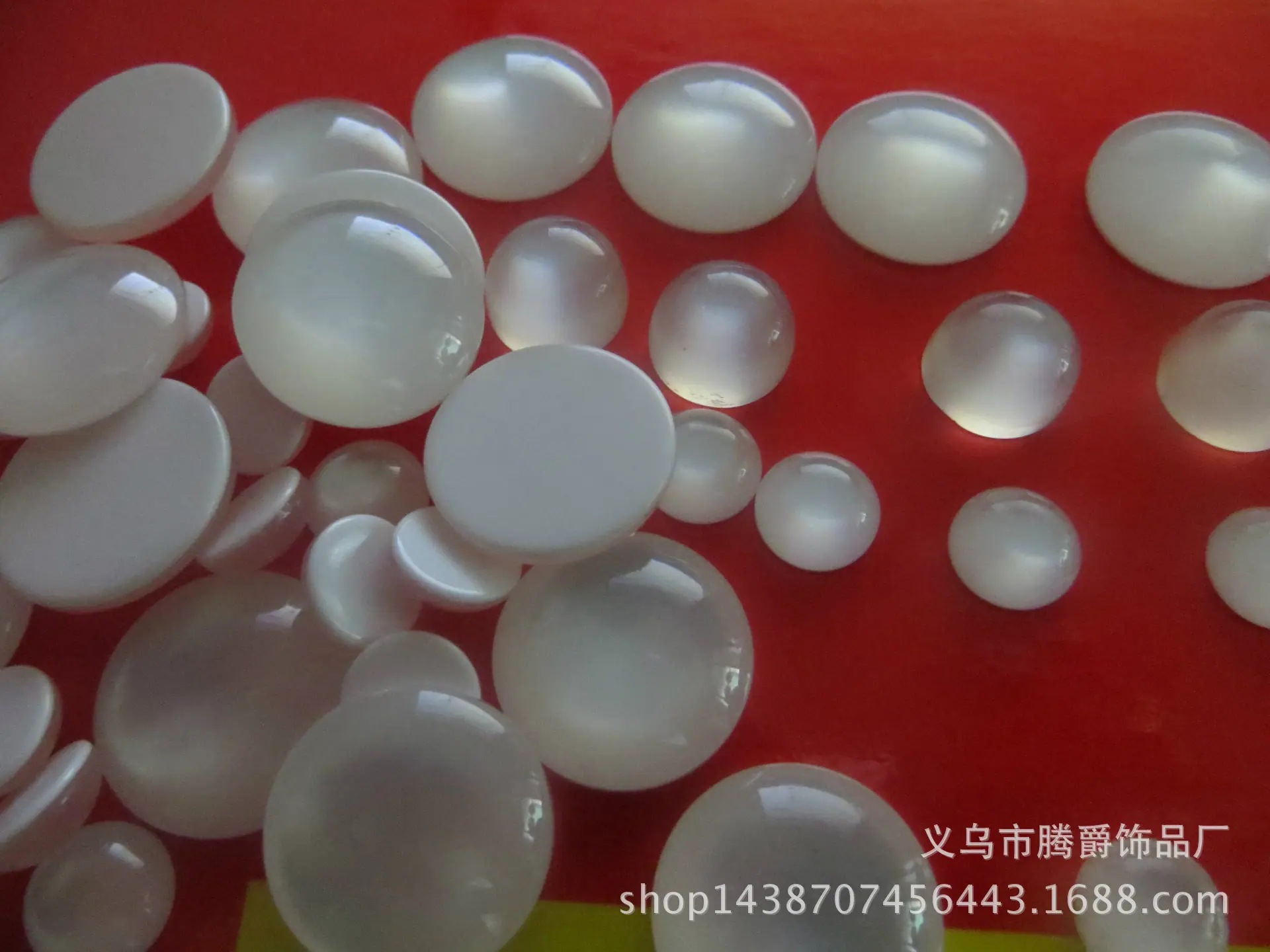 照片 2407