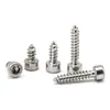 Tornillos Autorroscantes Hexagonales de Cabeza Cilíndrica de Acero Inoxidable 304 Tornillos Autorroscantes de Cabeza de Copa Ha M2/M3/M4/M5