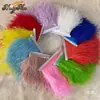 Borlas Decorativas de Pena DIY, Acabamento de Pena de Avestruz, Bainha de Vestido/Saia de Palco, Acessórios de Roupa, Renda, Tiras de Pena