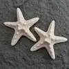Nova Série Oceano Resina Pequenos Acessórios DIY Capa de Celular Furo Fivela de Sapato Decoração de Grampo Material Artesanal Atacado