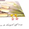 Brincos de Aço Titânio Zircônia Brincos Femininos Simples Moda Coração Diamante Brincos Temperamento Versátil Grátis Estrela de Cinco Pontas Tachas de Orelha