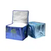 Bolsa Aislante para Pasteles Hecha a Medida Plegable Algodón Perlado Bolsa Refrigeradora para Llevar Mariscos Papel de Aluminio Tela No Tejida Bolsa para Hielo Bolsa para Pasteles