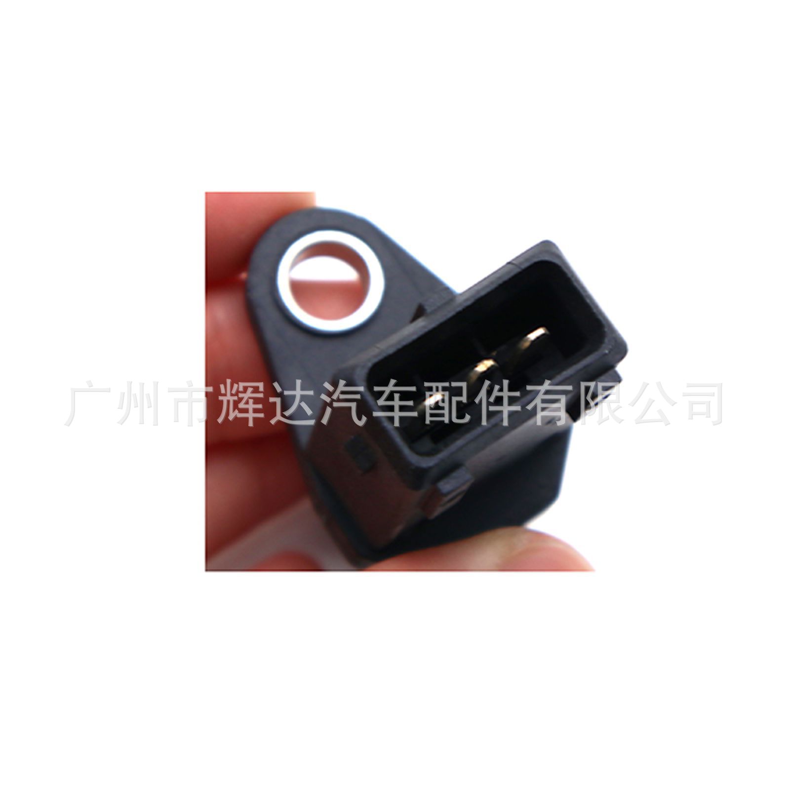 MR446405-6_new