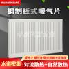 Radiador para Uso Doméstico, Radiador de Painel de Aço para Projetos de Aquecimento de Água, Radiador de Painel Montado na Parede a Gás Natural Atacado