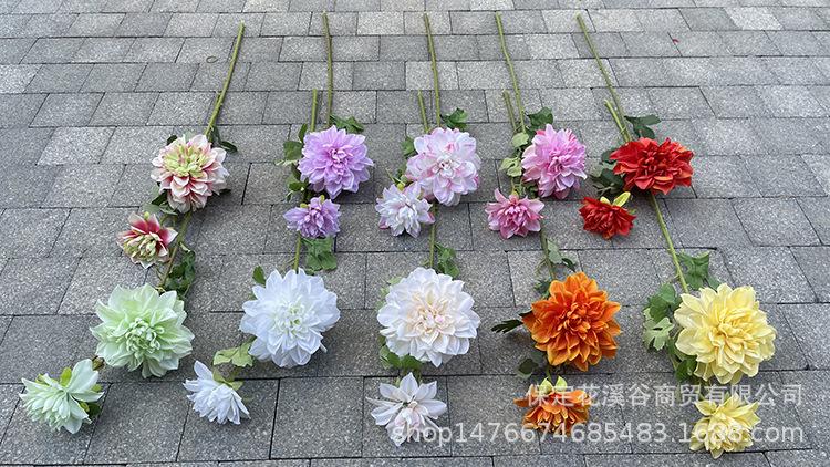 IMG_E3656.JPG