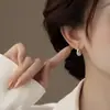 2025 Nuevos Pendientes de Lujo Accesible Ovalados Super Brillantes de Circonita Europeos y Americanos Elegantes de Gama Alta Pendientes para Mujer Pendientes de Diseño de Nicho