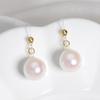 Nuevos pendientes colgantes de perlas de moda, ligeros, de lujo, de alta gama, elegantes, con gancho para la oreja, a la moda, combinables, elegantes y atractivos para mujer.
