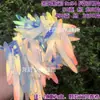 Escama de Dragón Sirena Iridiscente Concha Grande 40mm Lentejuelas Plegadas DIY Siete Colores Deslumbrante Escama de Pez Forma de Abanico Cuentas