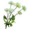 Venta especial: 6 Dientes de León Artificiales, Flores Falsas para Decoración del Hogar, Accesorios para Fotografía de Bodas, Plantas Verdes