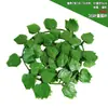 Hiedra Artificial Hiedra Artificial Guirnalda Artificial Verde Planta Colgante Artificial Verde