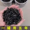 Goma Negra Desechable para el Cabello Banda Elástica Alta Elasticidad Anillo para el Cabello Infantil Accesorio para el Cabello para Niñas