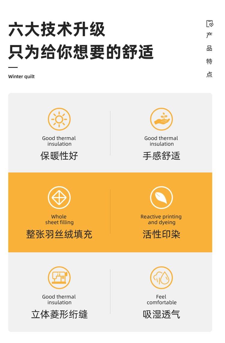 海豚湾 (5)