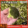 Trozos Grandes de Brócoli Liofilizado, Bocadillos Universales para Gatitos, Cachorros y Hámsteres, Mezcla de Alimento Vegetal para Mascotas