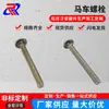 Tornillo de carrocería de acero inoxidable 304 cabeza semicircular grande cuello cuadrado cabeza plana grande cabeza de paraguas M4M5M6M8M10 cabeza grande