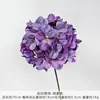 Anna Hortensia Estampado de Seda Hortensia Salón de Bodas Decoración de Pared de Flores Arreglo Floral Flores de Seda Accesorios para Fotografía de Bodas Flores Artificiales