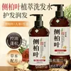 Folha de Platycladus Orientalis, Gengibre, Ginseng Cuidado Capilar Herbal 500ml Shampoo Controle de Oleosidade e Volumizador Shampoo de Folha de Platycladus Orientalis Shampoo
