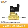 Válvula de solenoide neumática de 2 vías y 2 posiciones 2V025-08 válvula de control AC220V DC12V DC24V válvula normalmente cerrada