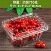 Caixa de Embalagem Descartável para Frutas Caixa Plástica Transparente Caixa de Embalagem para Morango 0,5kg Retangular com Tampa 500g