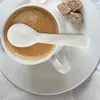 Cuchara de concha de caracol transfronteriza Sazonador de caviar Cuchara para sopa Café Estilo occidental Sin pintar Vajilla de cocina de hotel 9CM10