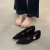 Zapatos de Moda Vintage para Mujer 2025 Primavera y Otoño Nuevos Punta Fina Hebilla Metálica Gamuza Aumentadores de Altura Zapatos Mary Jane